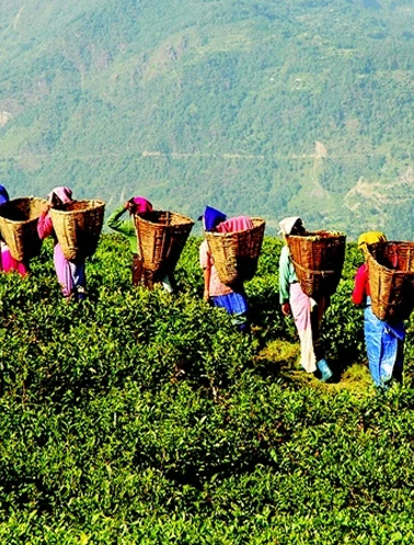Goalpara (Assam)